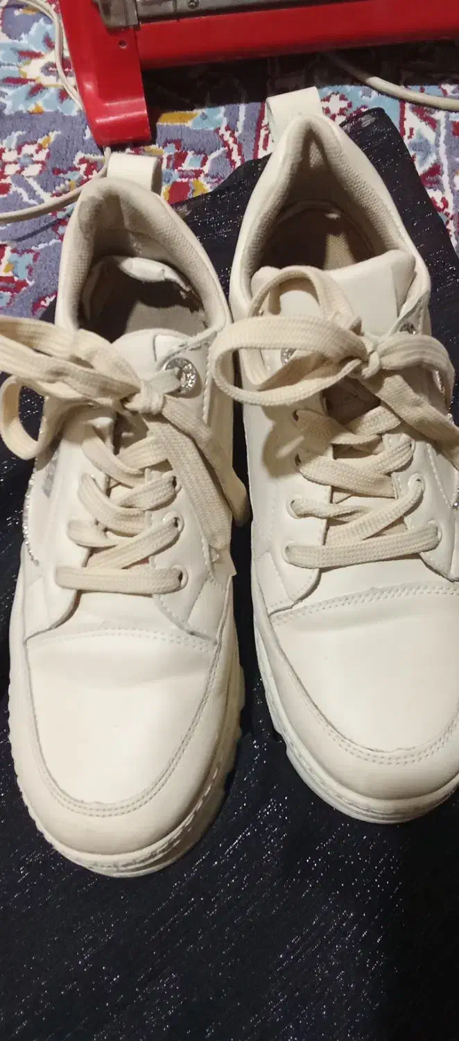 کفش|کیف، کفش، کمربند|زاهدان, |دیوار