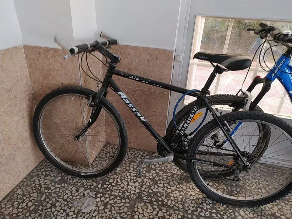 دوچرخه آساک دماوند|دوچرخه، اسکیت، اسکوتر|تبریز, |دیوار