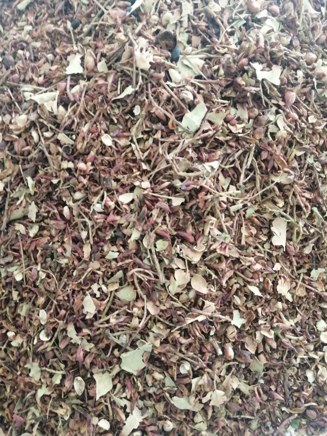 پوست پسته برا خوراک دام|لوازم جانبی حیوانات|زرند, |دیوار