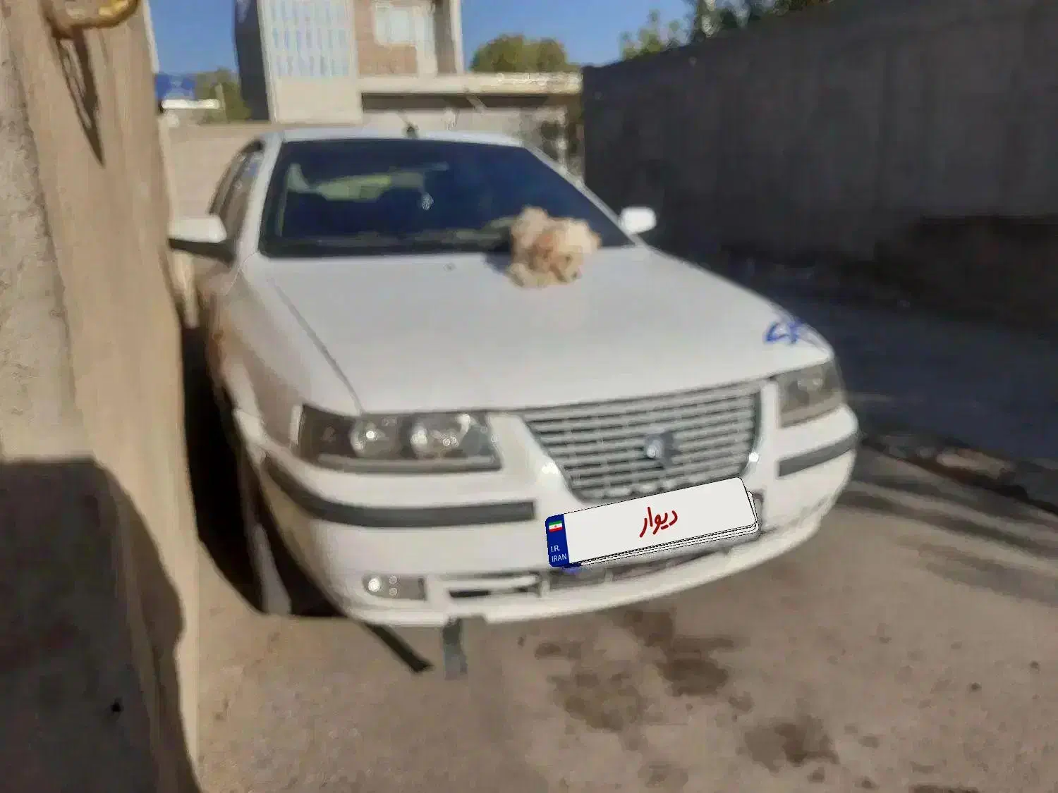 سمند دوگانه شرکتی|خودرو سواری و وانت|ابهر, |دیوار