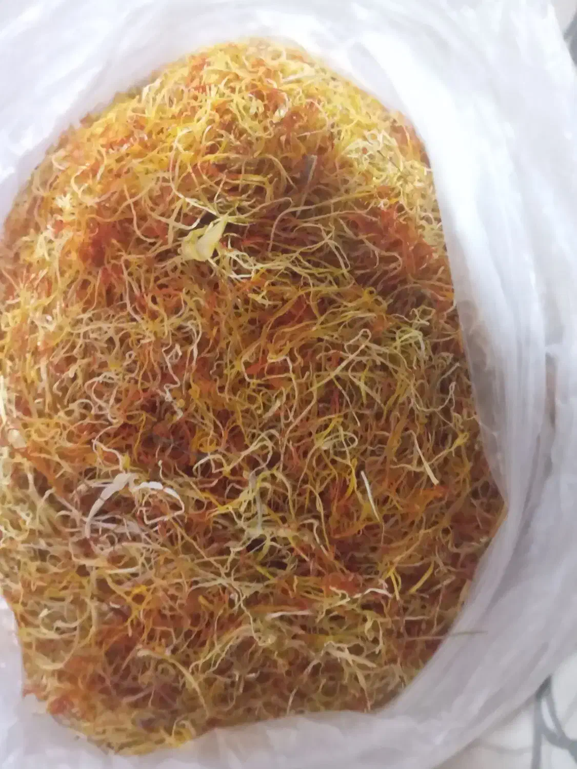 ریشه خوب امسالی|خوردنی و آشامیدنی|مشهد, نیزه|دیوار