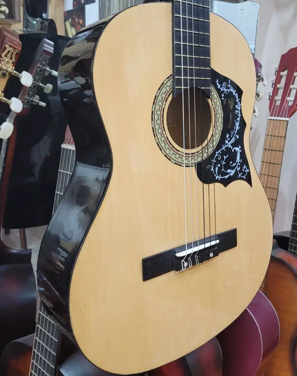 گیتار Lorenso|گیتار، بیس، امپلیفایر|تبریز, |دیوار