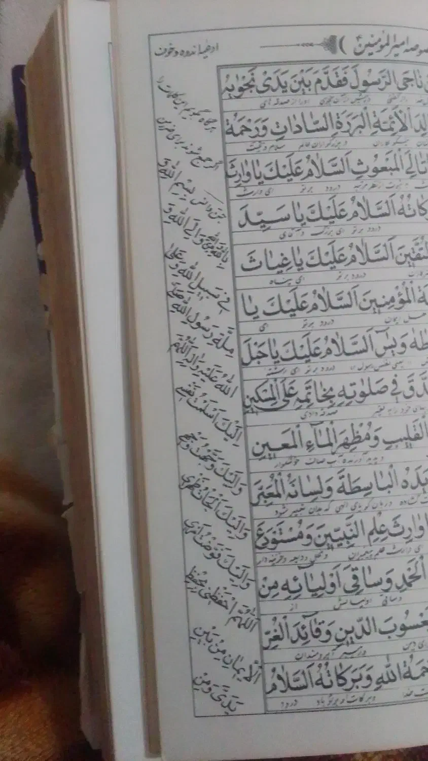 کتاب دعا نویس|کتاب و مجله مذهبی|تربت‌حیدریه, کاشانی|دیوار