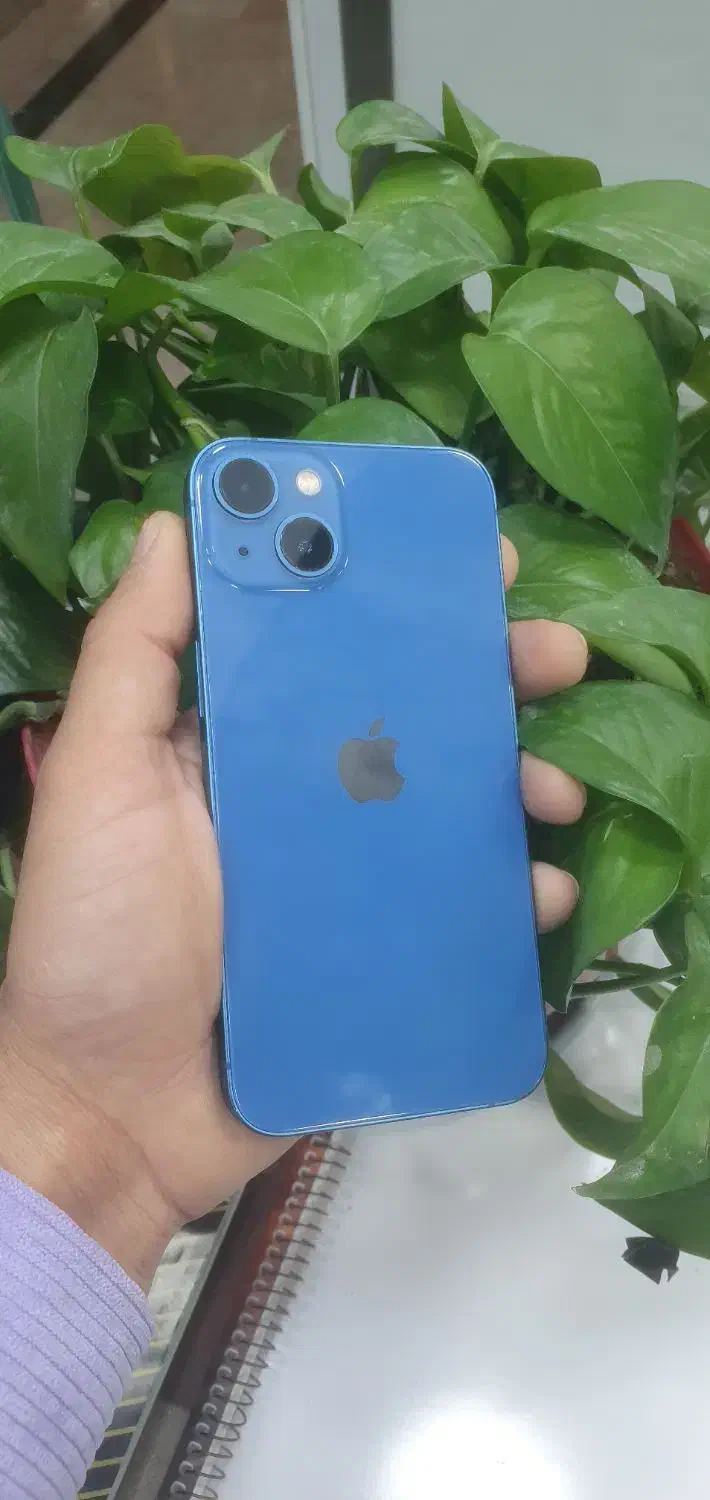 آیفون 13 نرمال|موبایل|برازجان, |دیوار