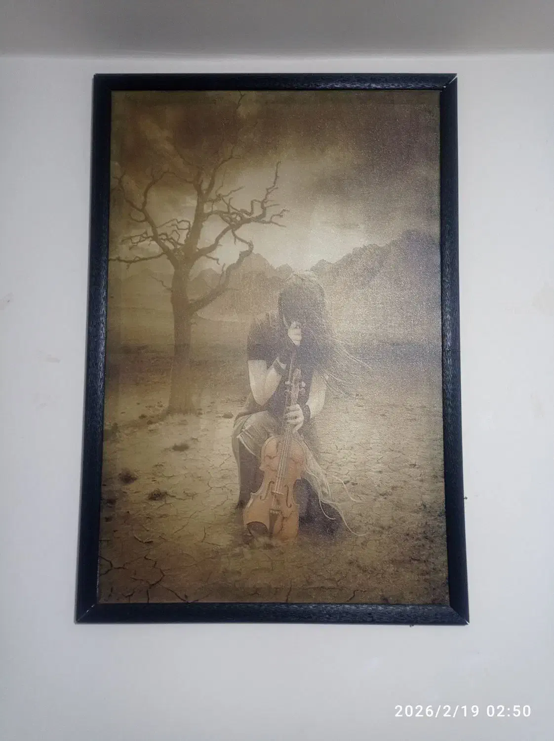 تابلو|تابلو، نقاشی، عکس|تویسرکان, |دیوار