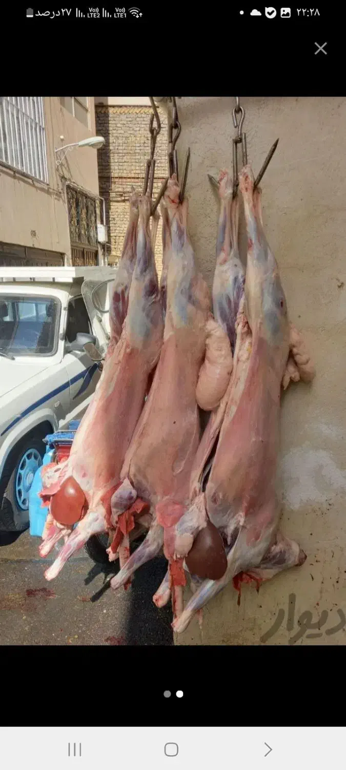 گوشت گوسفندی  کشتار روز|خوردنی و آشامیدنی|شیروان (خراسان), |دیوار