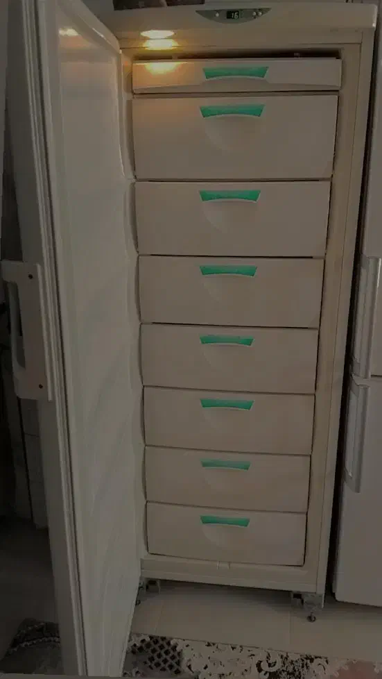 یخچال دو دره و فریزر|یخچال و فریزر|گلستان (تهران), |دیوار