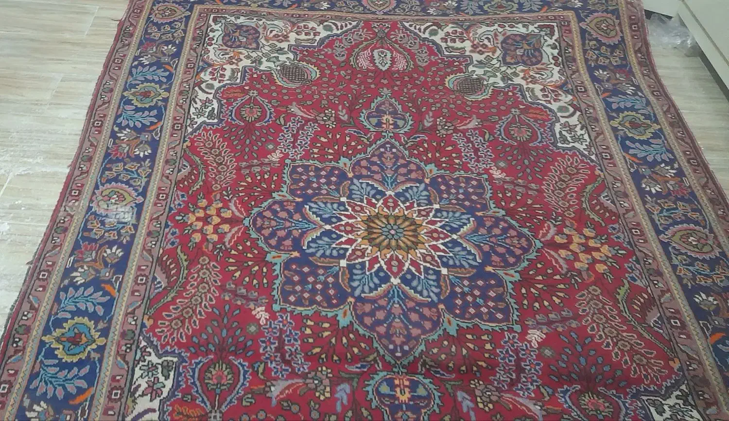 فرش دسبافت|فرش|میاندوآب, |دیوار