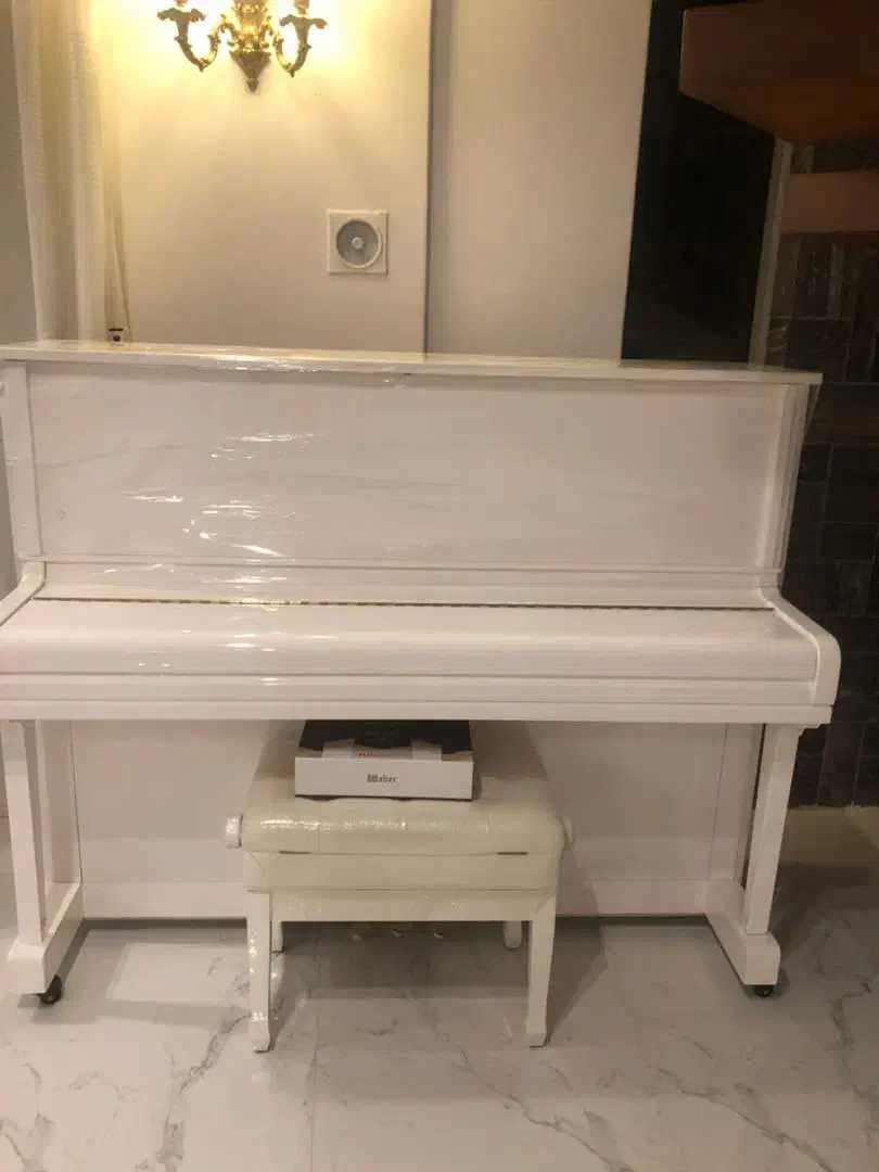 الات موسیقی پیانو|پیانو، کیبورد، آکاردئون|مشهد, ملکآباد|دیوار