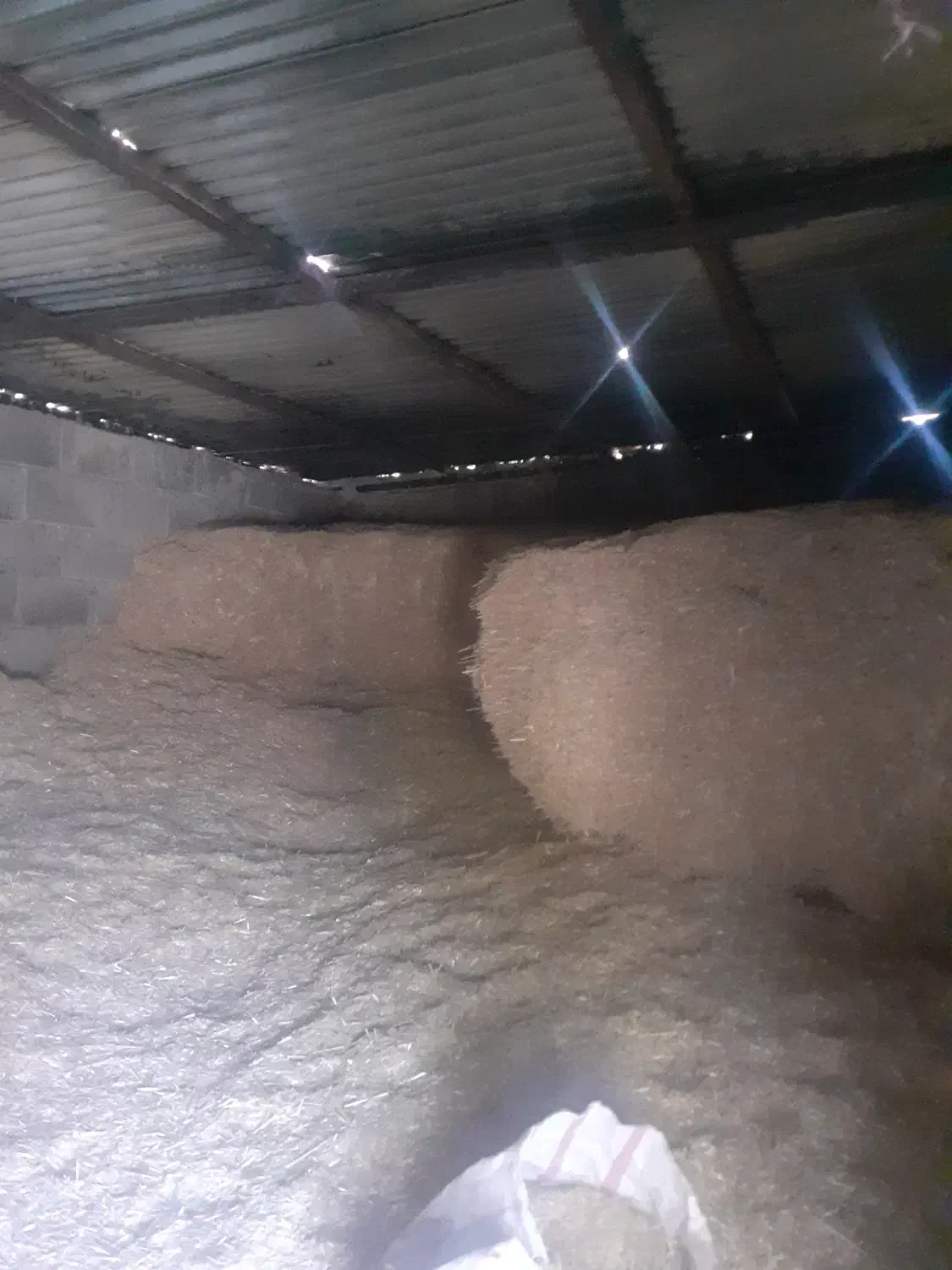 کاه فروش|حیوانات مزرعه|دشت ذهاب, |دیوار