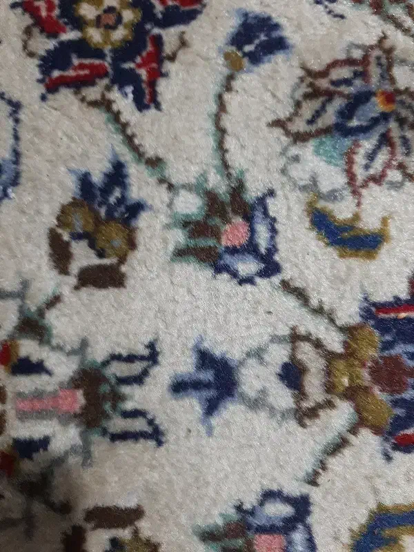 آپارتمان ۵۰ متر موقعیت اداری بر خیابان معیری|اجارهٔ دفتر کار، اتاق اداری، مطب|تهران, منیریه|دیوار