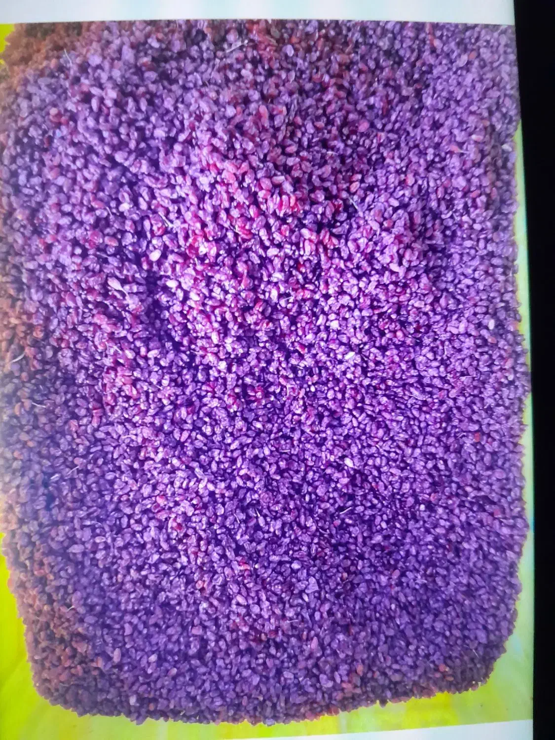 زرشک پفکی و زیر تالاری موجود است|عمدهفروشی|قائن, |دیوار