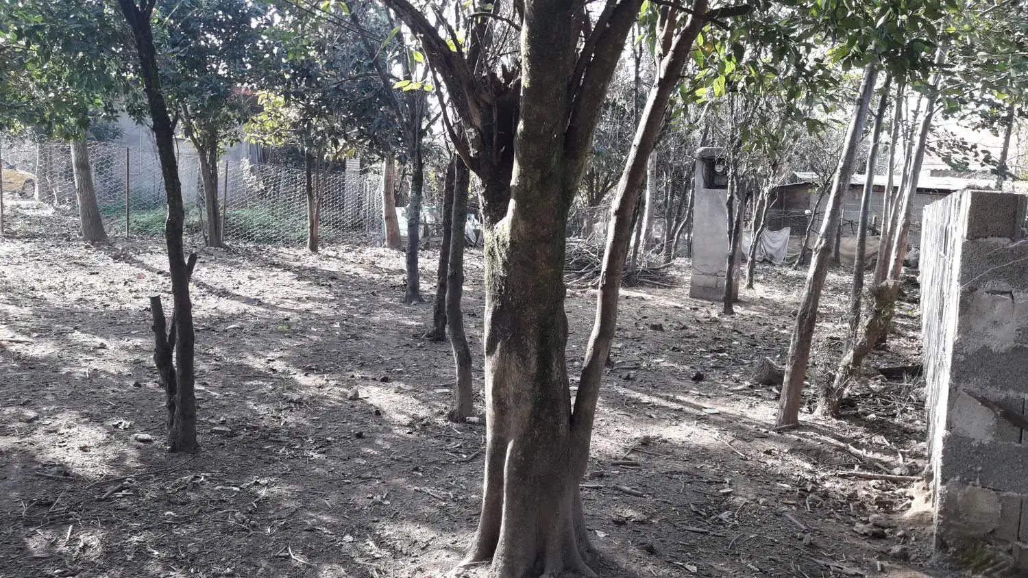 فروش زمین ۳۰۰متری مسکونی|فروش زمین و ملک کلنگی|ماکلوان, |دیوار