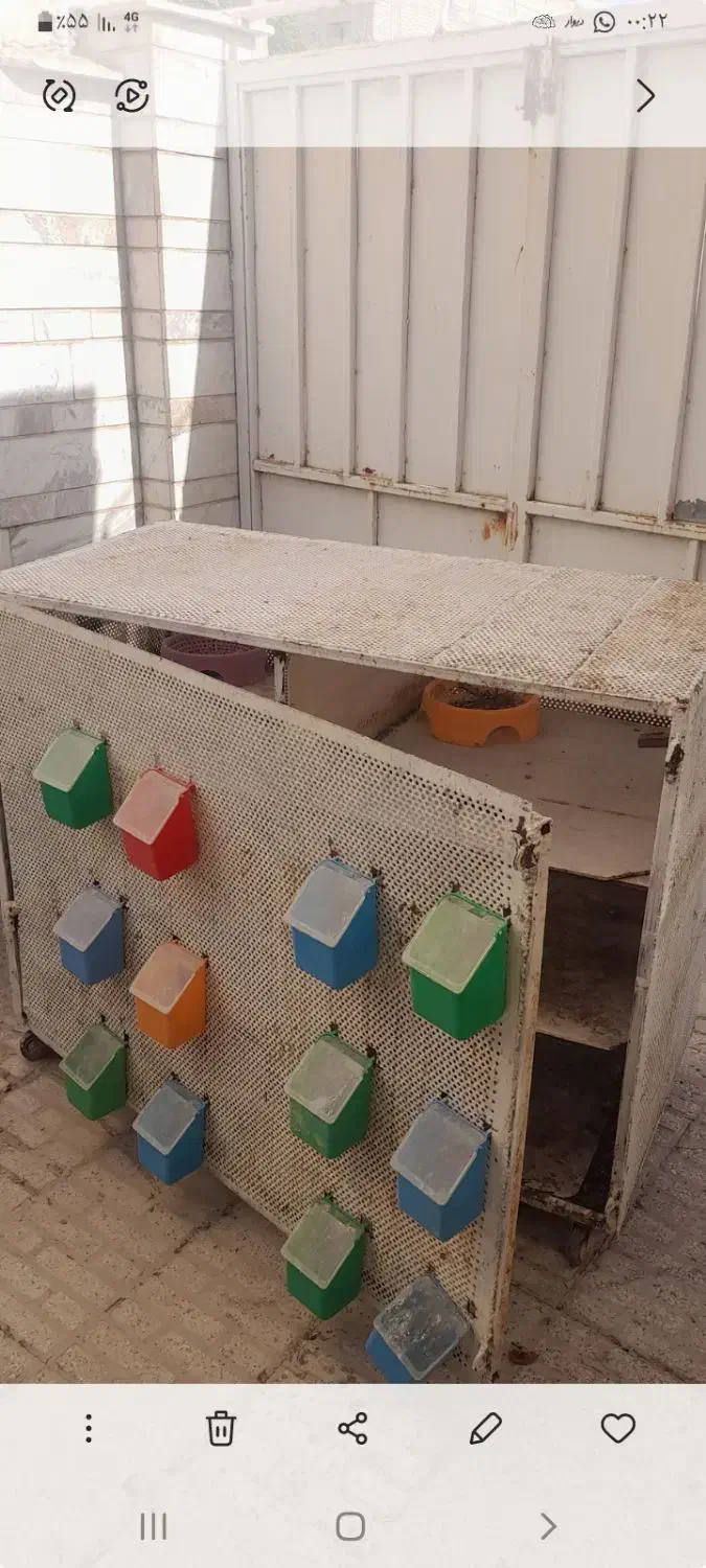 جفتگاه ۶ تایی جفتخون|لوازم جانبی حیوانات|شیراز, پودنک|دیوار