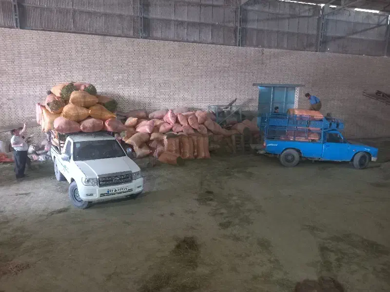 یونجه سبز|عمدهفروشی|مسجد سلیمان, |دیوار