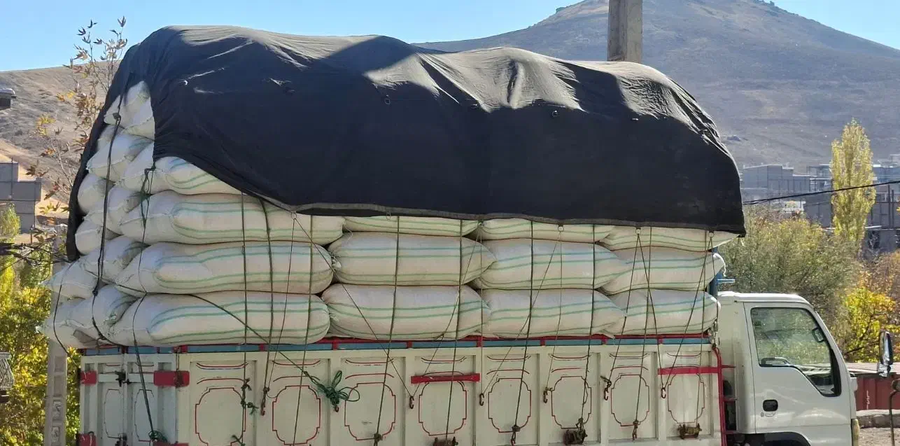 درجه یک کاه درجه یک|لوازم جانبی حیوانات|گلپایگان, |دیوار