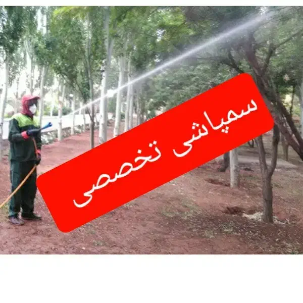باغبانی، هرس،سمپاشی،کودهی،گلکاری و درختکاری|خدمات باغبانی و درختکاری|مشهد, شهید فرامرز عباسی|دیوار
