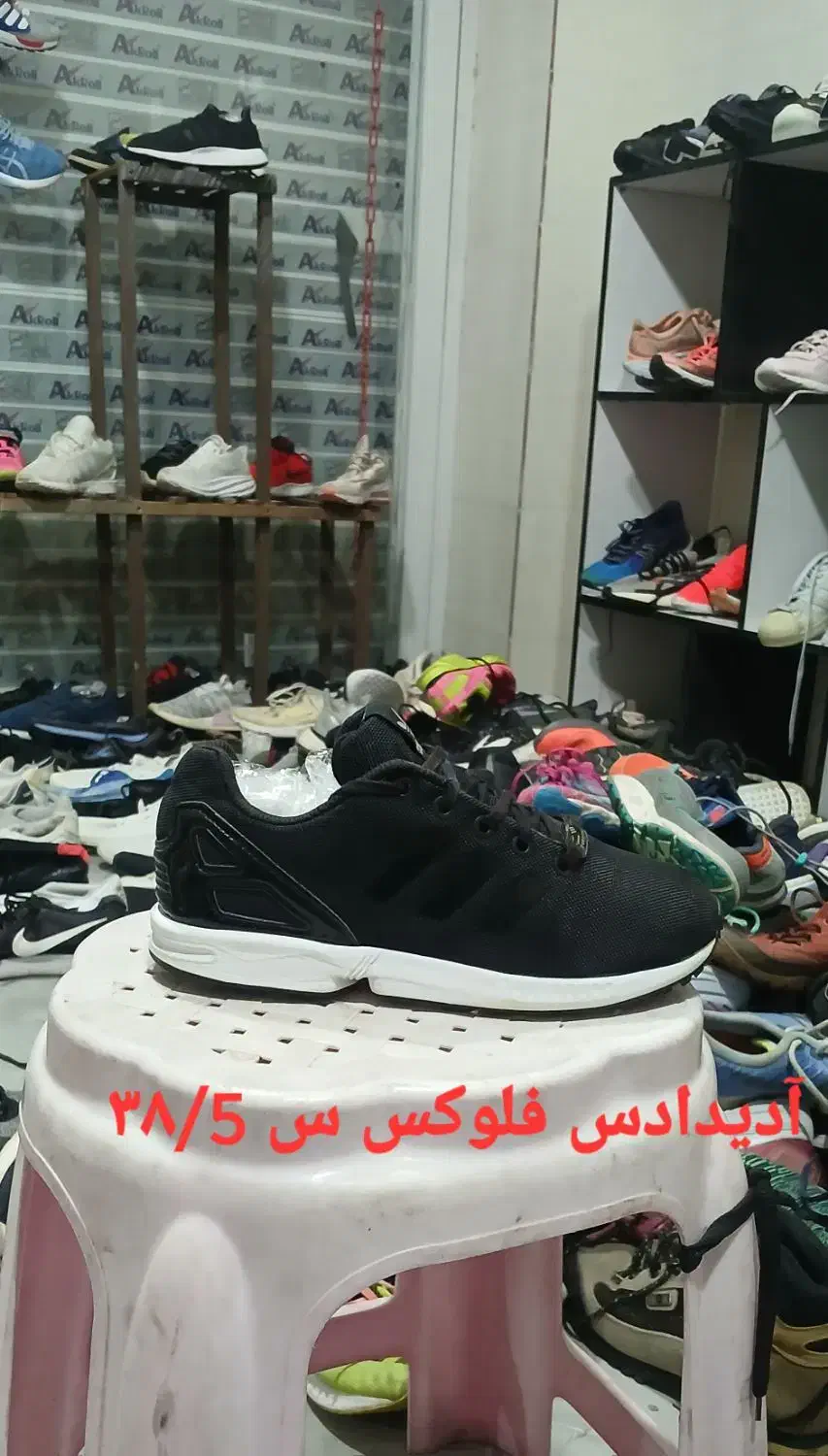 کفش تاناکورا|کیف، کفش، کمربند|کرمانشاه, |دیوار