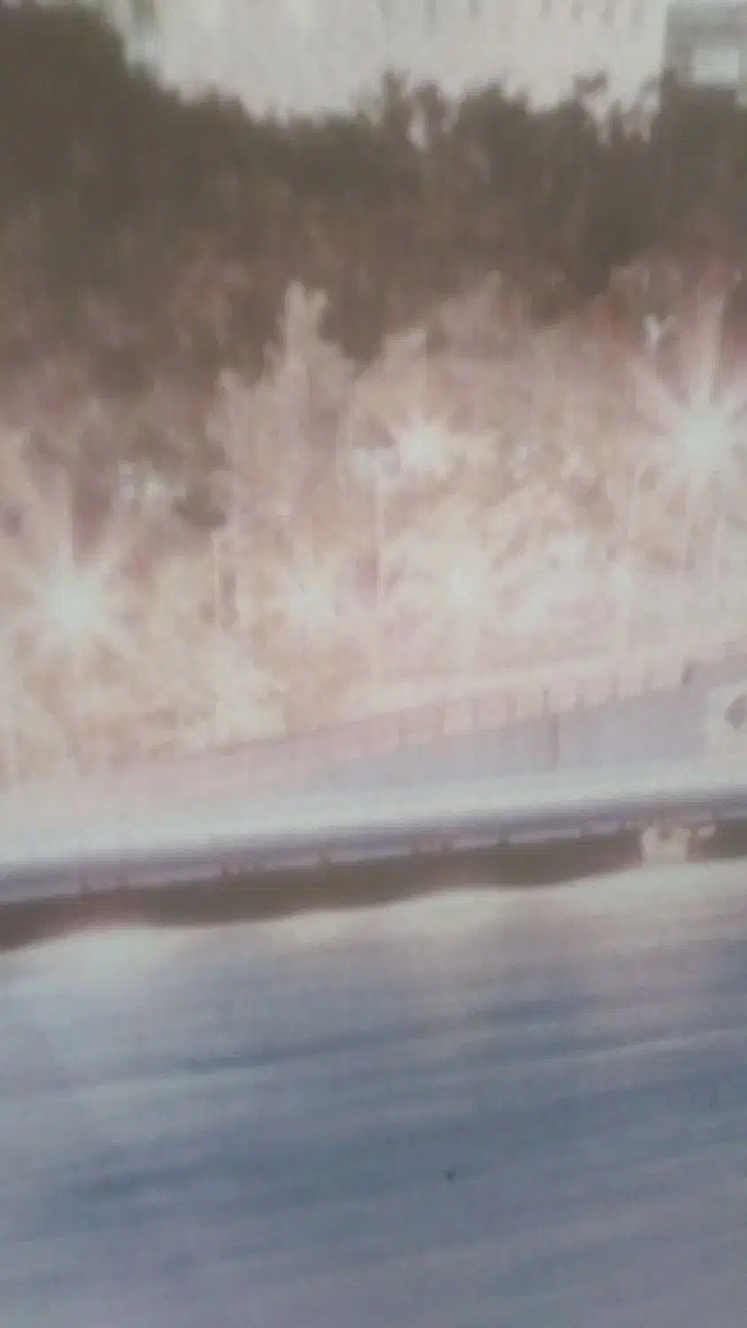 فروش زمین باغ|فروش زمین و ملک کلنگی|کرمانشاه, |دیوار