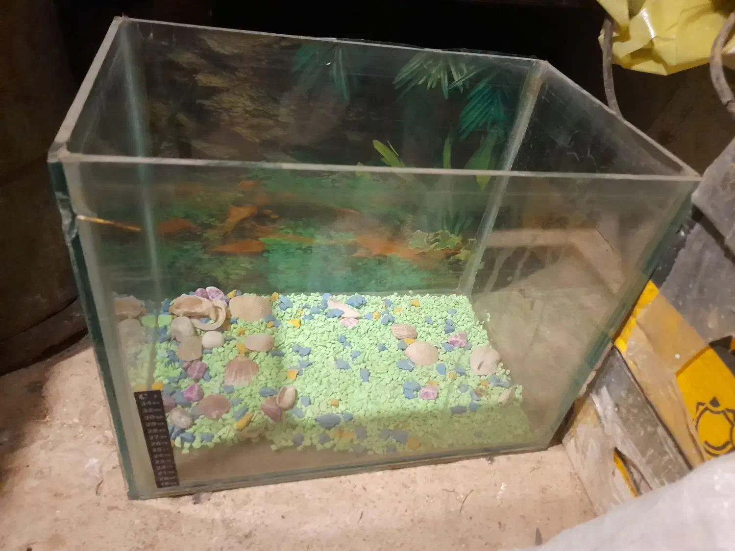 اکواریوم|ماهی|دهگلان, |دیوار