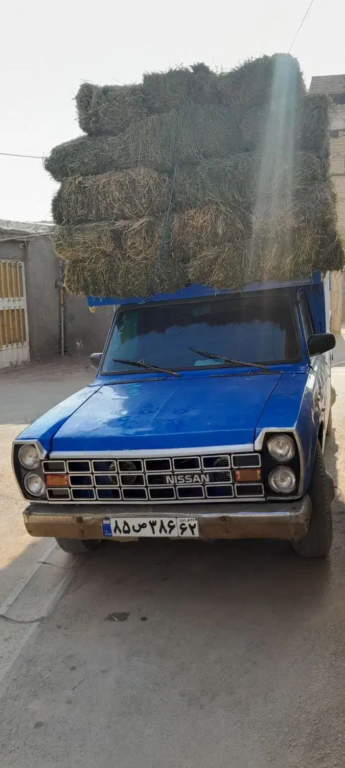 یونجه درجه 1|لوازم جانبی حیوانات|مشهد, مهدی آباد|دیوار