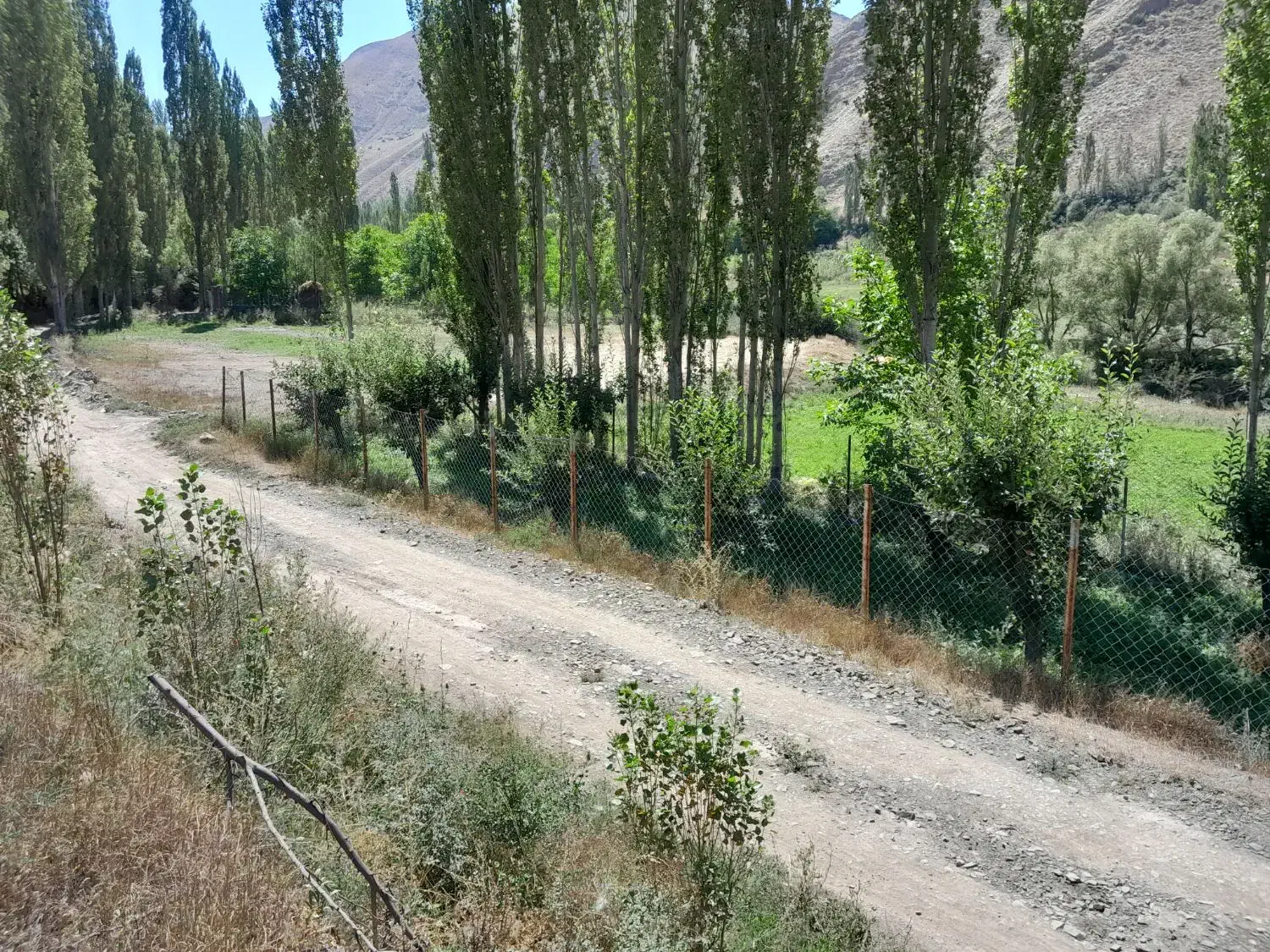 زمین کشاورزی متراژ ۲۰۰۰ وپاینتر|فروش زمین و ملک کلنگی|بلده, |دیوار