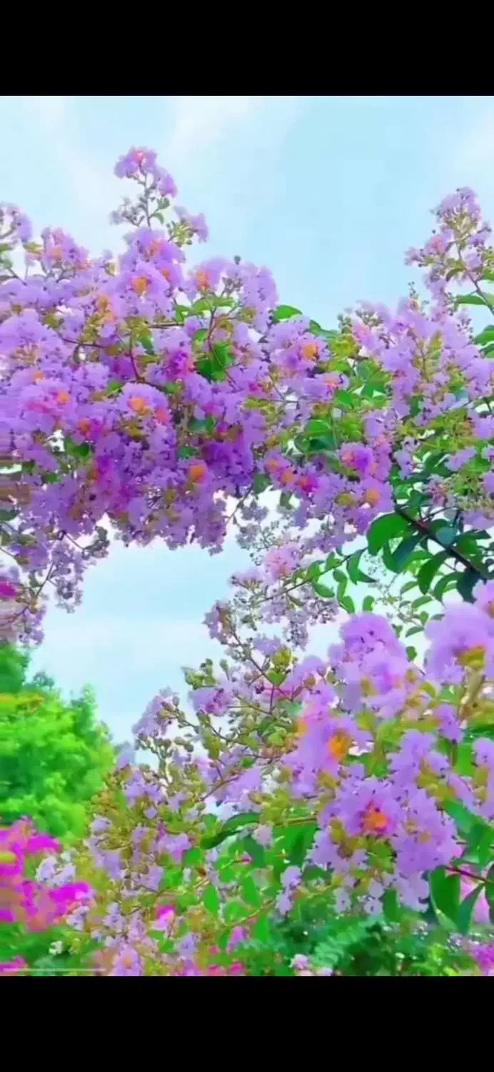 ویلایی آپارتمان۵واحدمعاوضه باملک خودرو و....|فروش آپارتمان|بیرجند, |دیوار