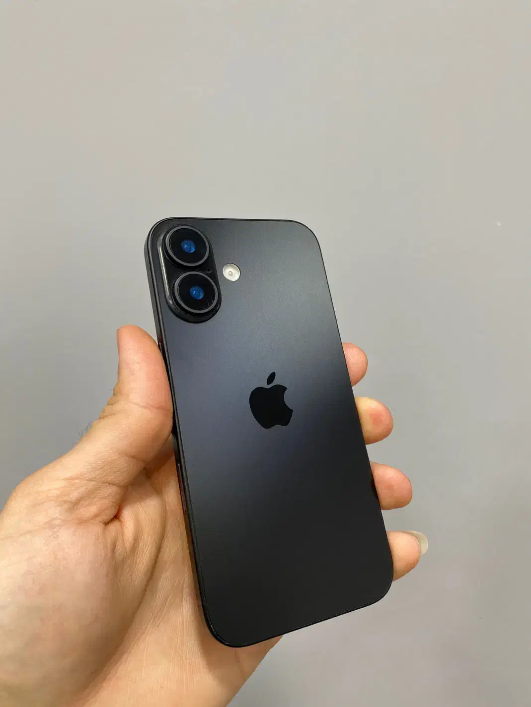 آیفون 16normal|موبایل|سبزوار, قائم|دیوار