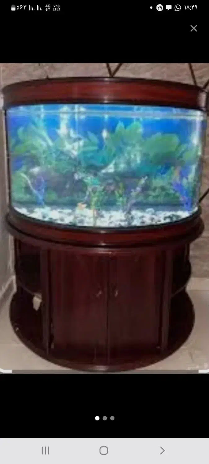 اکواریوم نیم دایره وارداتی بسیار زیبا|ماهی|هندیجان, |دیوار
