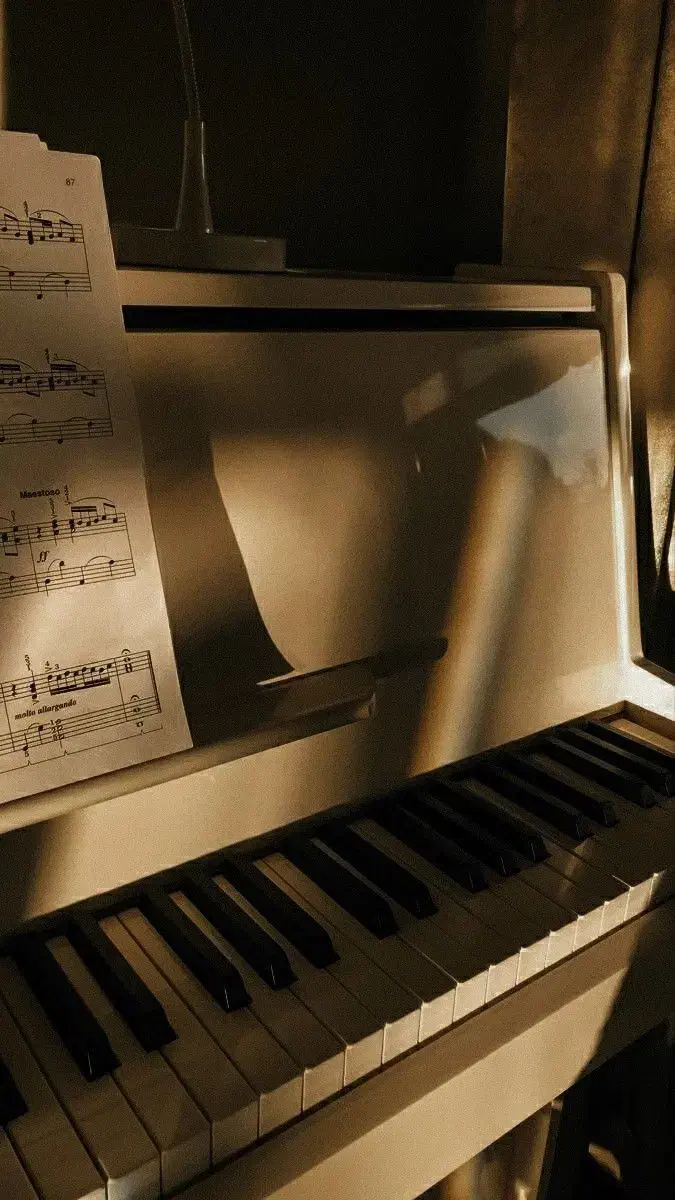 تدریس ساز پیانو بصورت خصوصی|خدمات آموزشی|سبزوار, توحیدشهر|دیوار