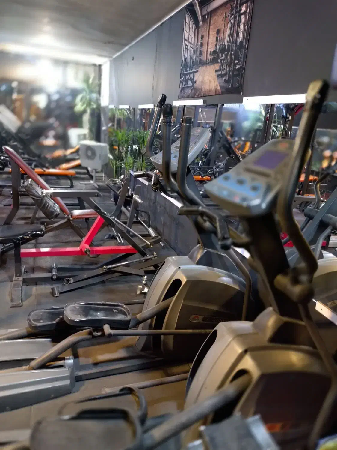 فروش لوازم بدنسازی تاتامی باشگاه جاروکش|تجهیزات ورزشی|تهران, تهرانپارس جنوبی|دیوار