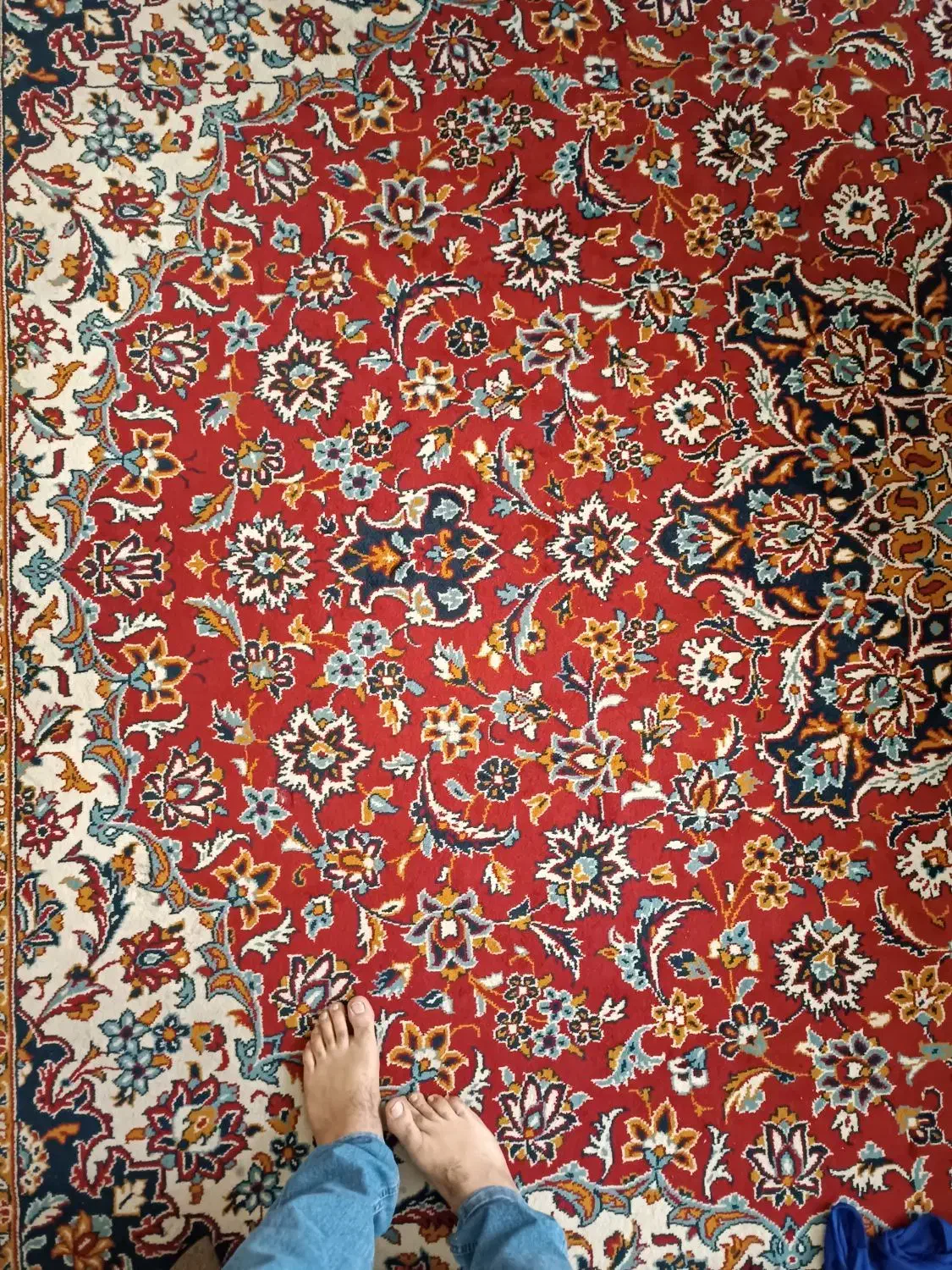 فرش 12 متری|فرش|پرند, فاز ۳|دیوار