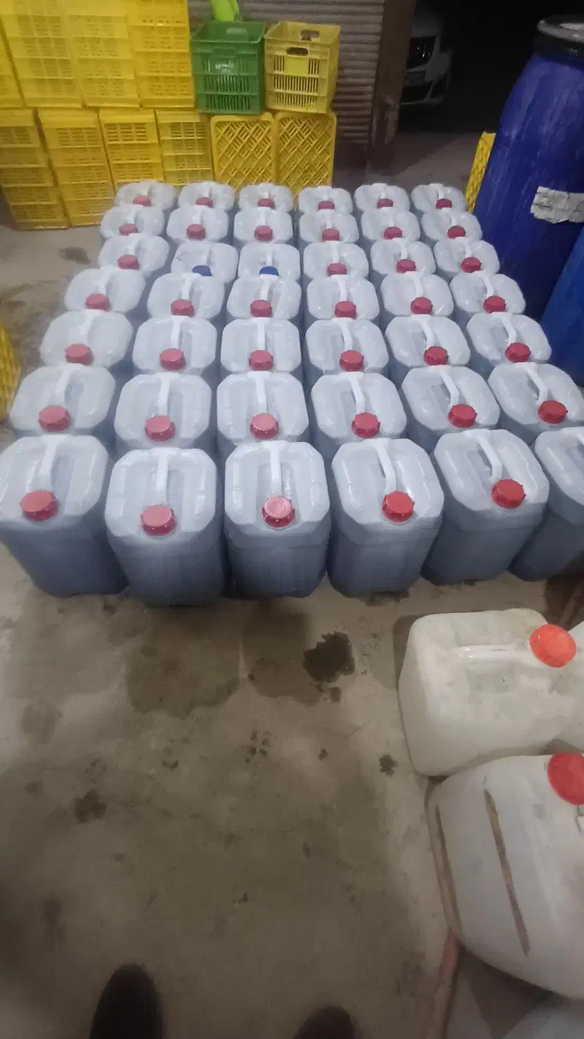 روغن زیتون طارم بشرط|خوردنی و آشامیدنی|گیلوان, |دیوار