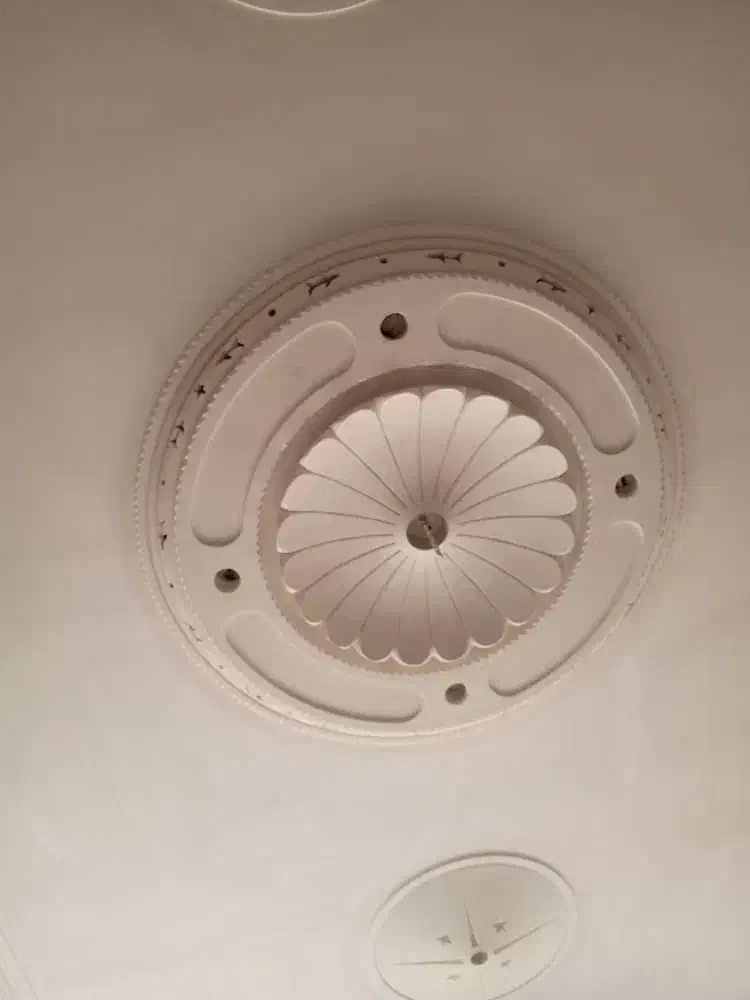 گچکاری وخرده کاری وابزار|خدمات پیشه و مهارت|گلستان (تهران), |دیوار