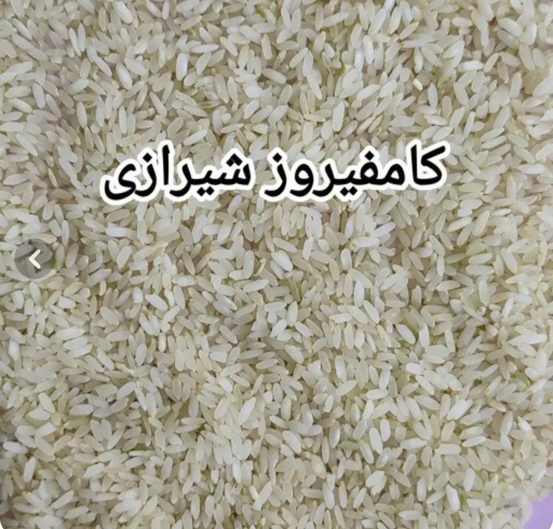 برنج کامفیروزی|عمدهفروشی|کامفیروز, |دیوار