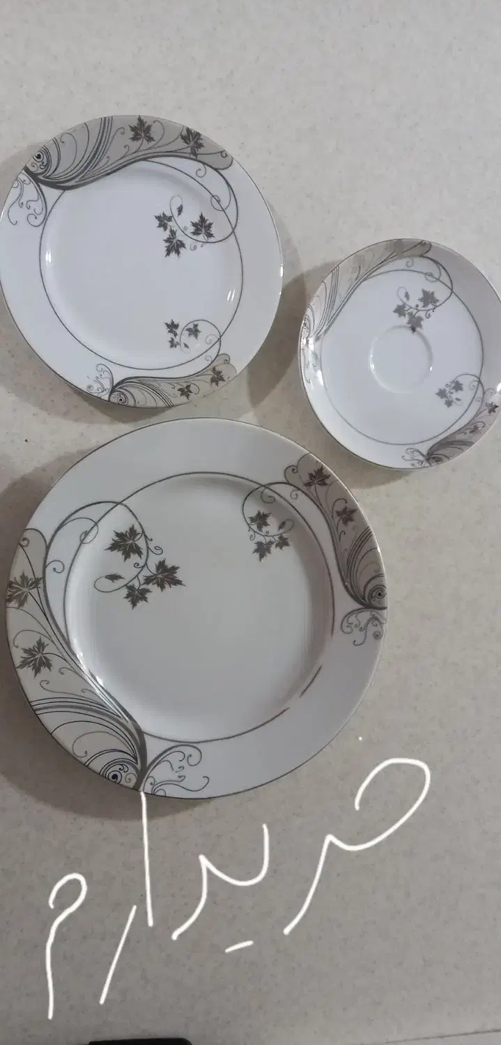 چینی سالم|ظروف سرو و پذیرایی|همدان, |دیوار