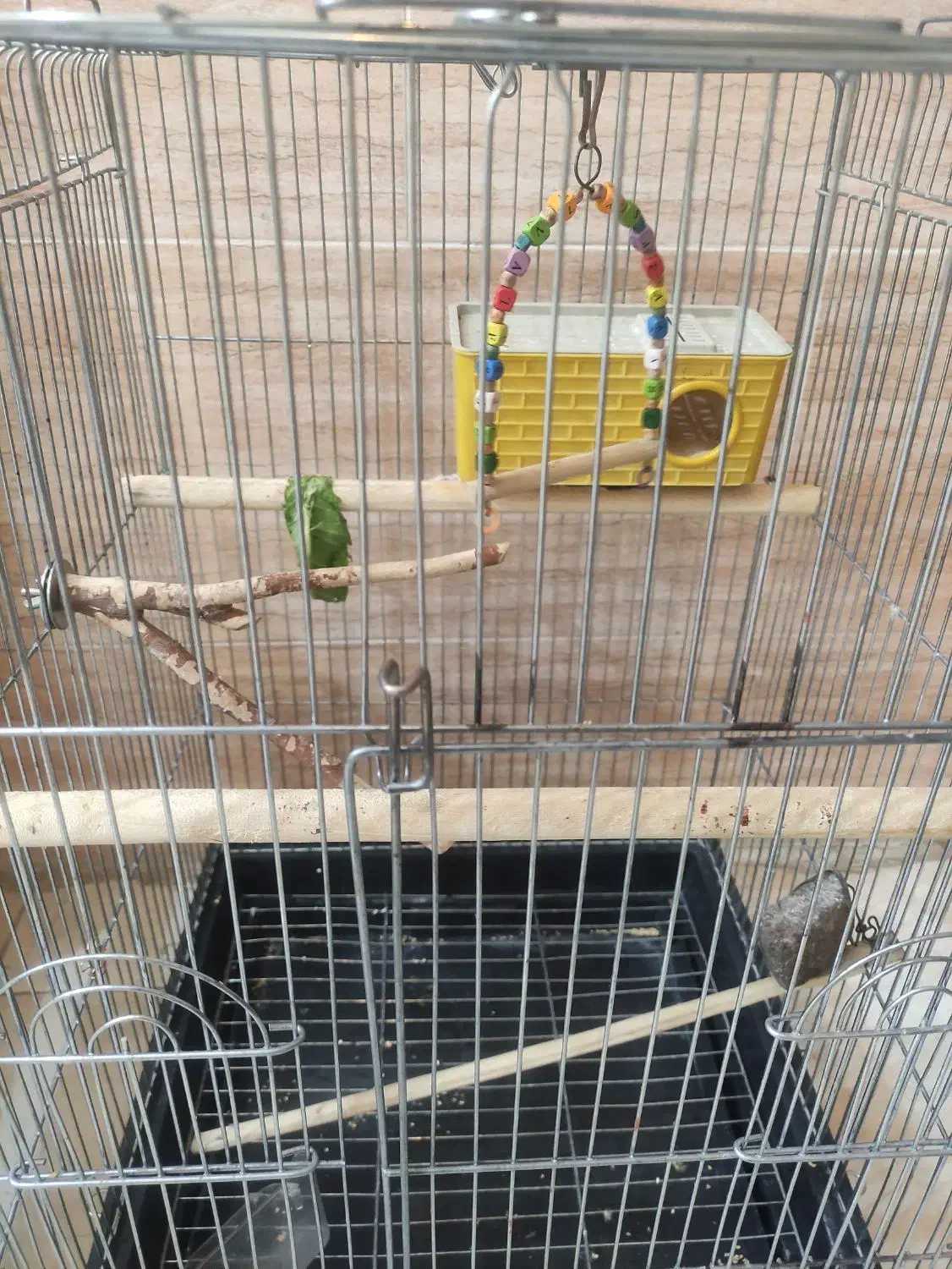 قغس|لوازم جانبی حیوانات|ایلام, |دیوار