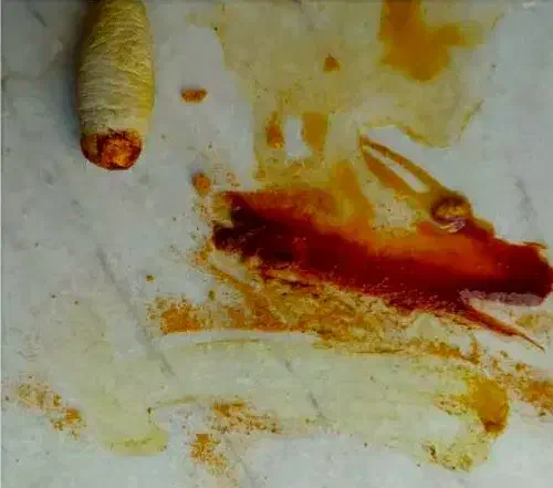 مهره قیمتی|کلکسیون اشیاء عتیقه|دره شهر, |دیوار