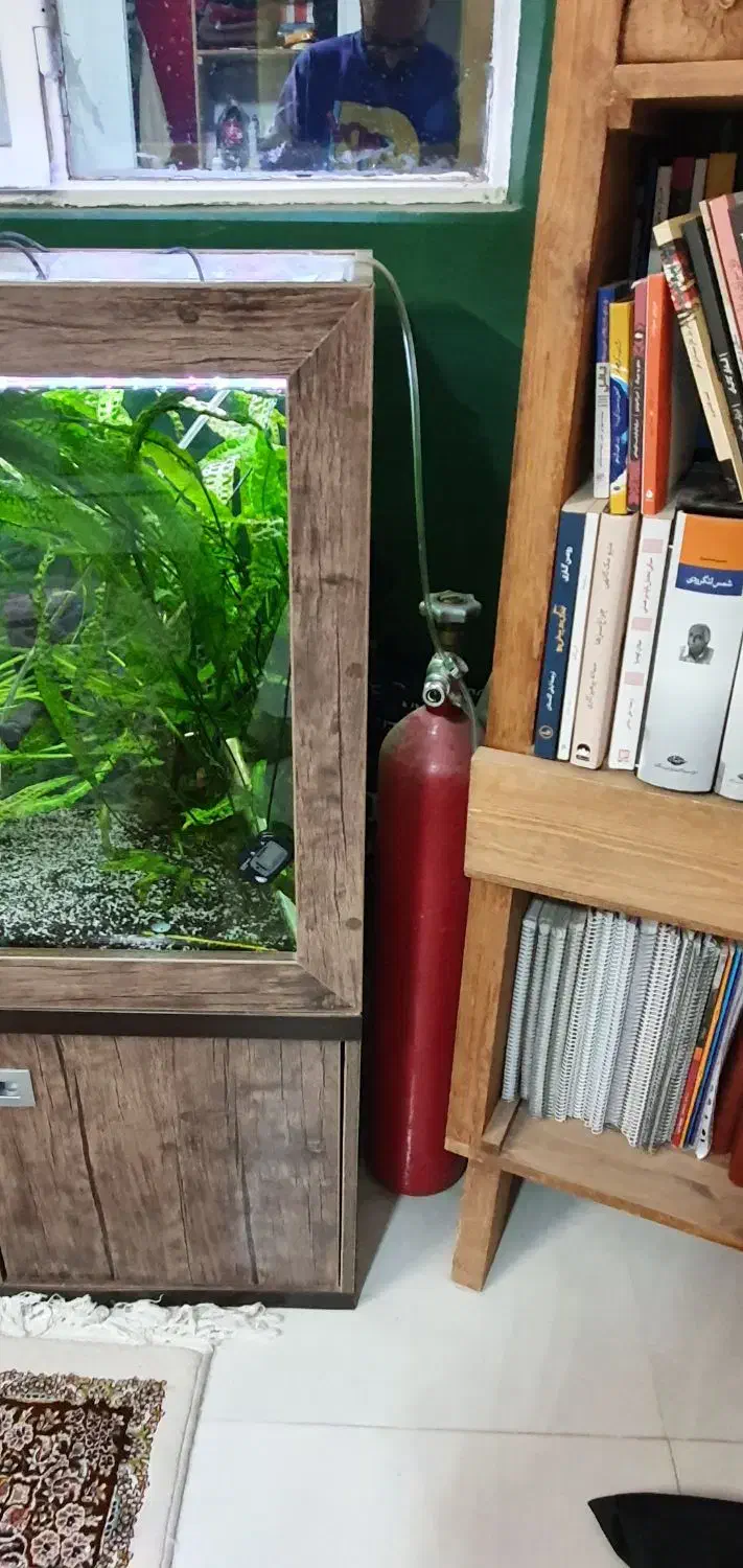 اکواریوم پلنت با تمام متعلقات و کبسول co2|ماهی|شیراز, شهرک گلستان|دیوار