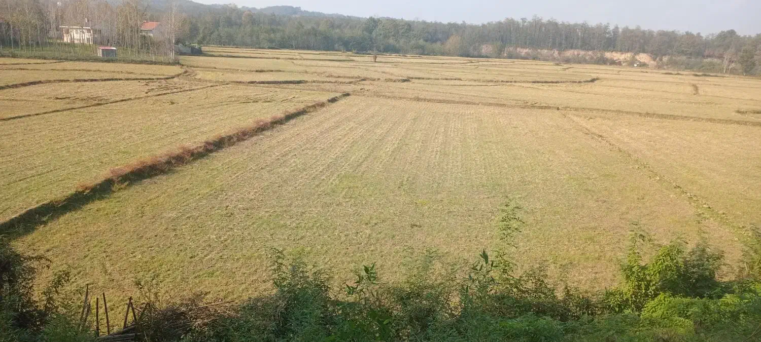 خانه ویلایی به همراه زمین|فروش خانه و ویلا|سیاهکل, |دیوار