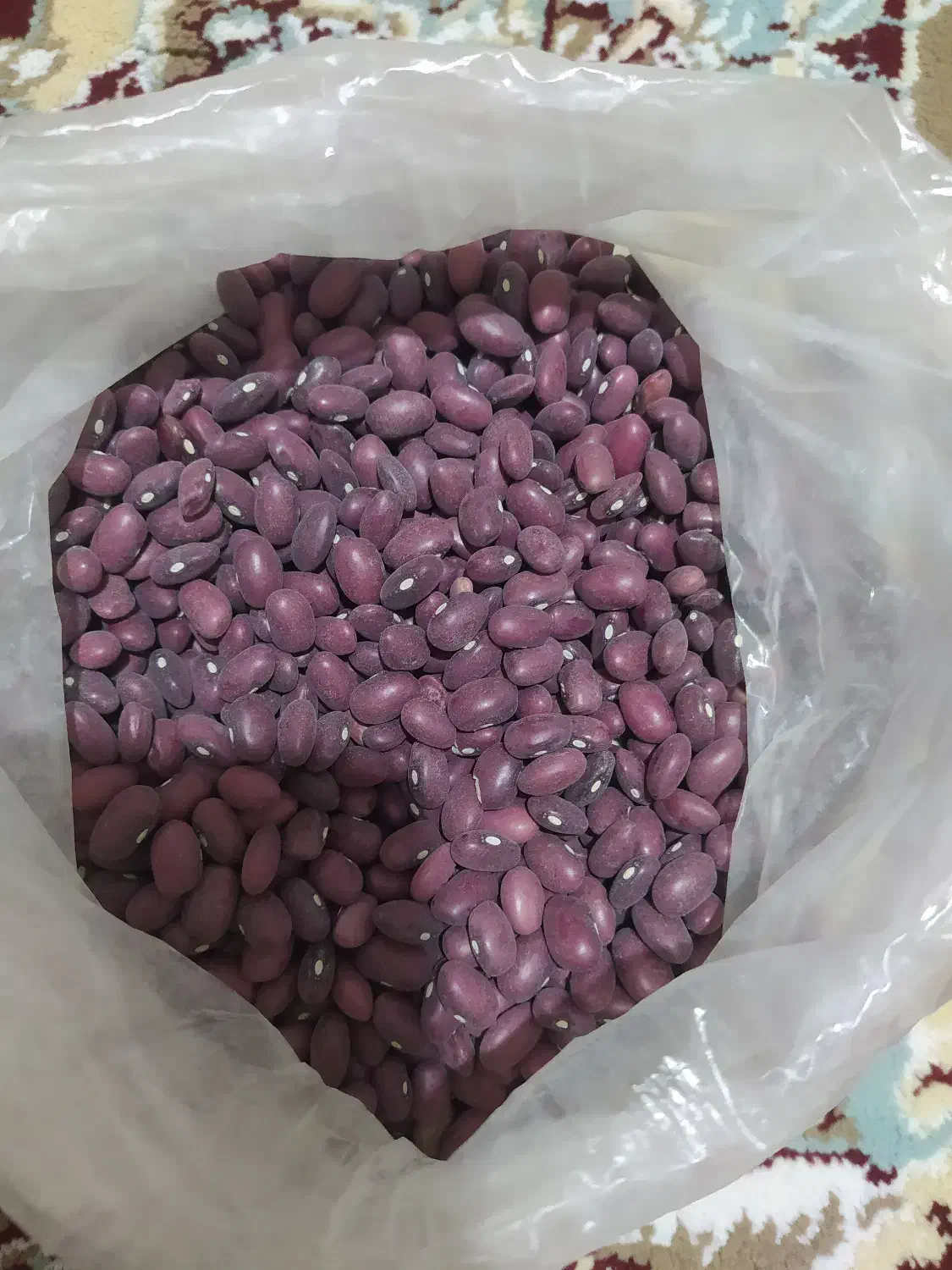 لوبیا قرمز محصول امسال|خوردنی و آشامیدنی|پرند, فاز ۴|دیوار