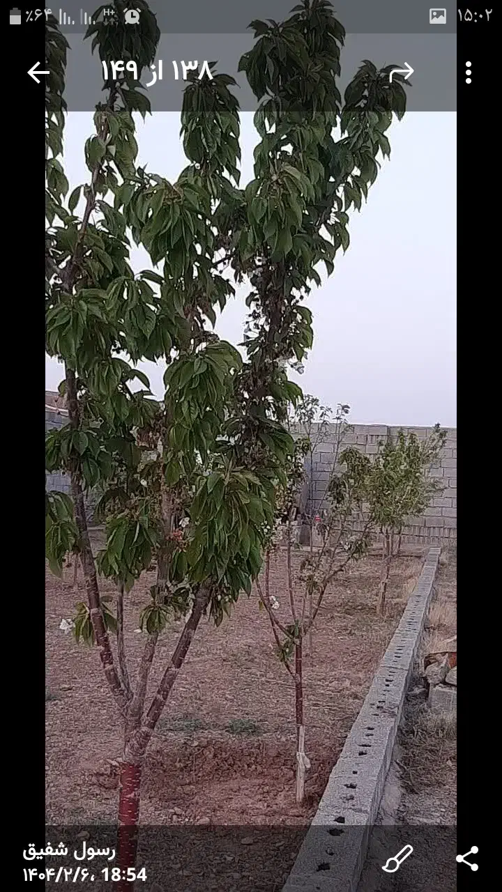 فروش باغ۱۰۰۰ متری نزدیک تبریزقابل تهاتر|فروش خانه و ویلا|صوفیان, |دیوار