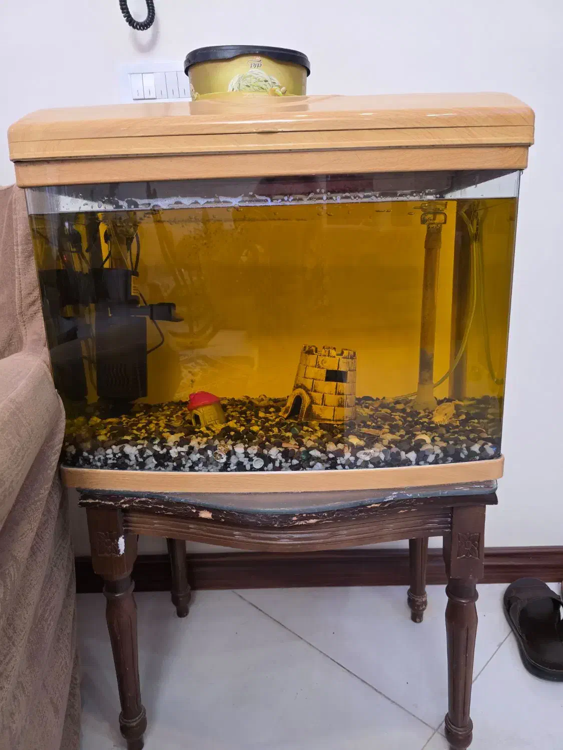 فروش آکواریوم ماهیران|ماهی|تهران, بهجت‌آباد|دیوار