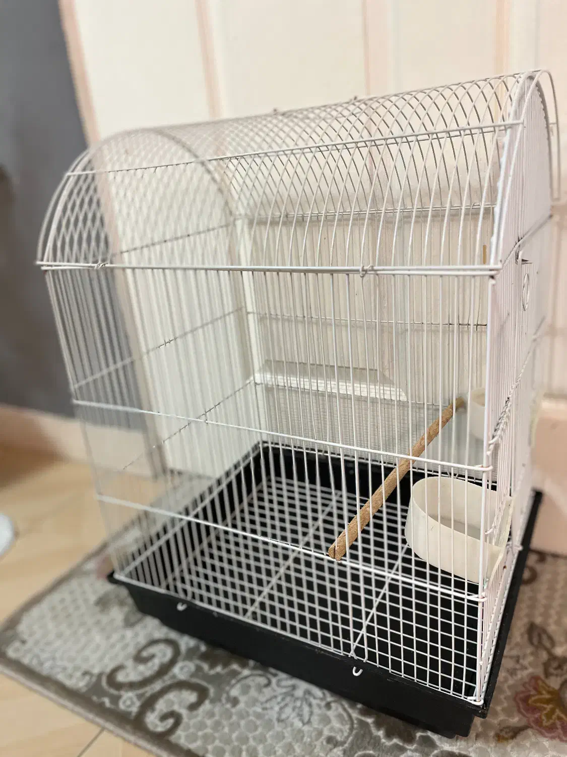 قفس پرنده|لوازم جانبی حیوانات|بندر انزلی, معلم|دیوار