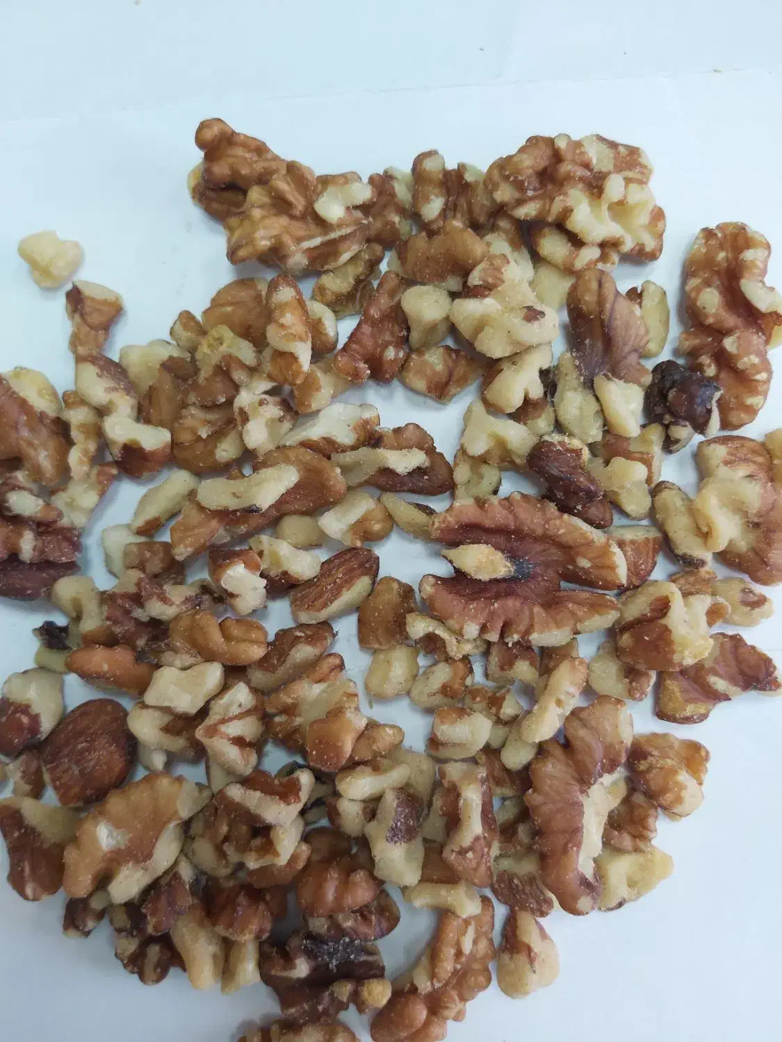 مغز بادام|خوردنی و آشامیدنی|شیراز, شهرک کوثر|دیوار