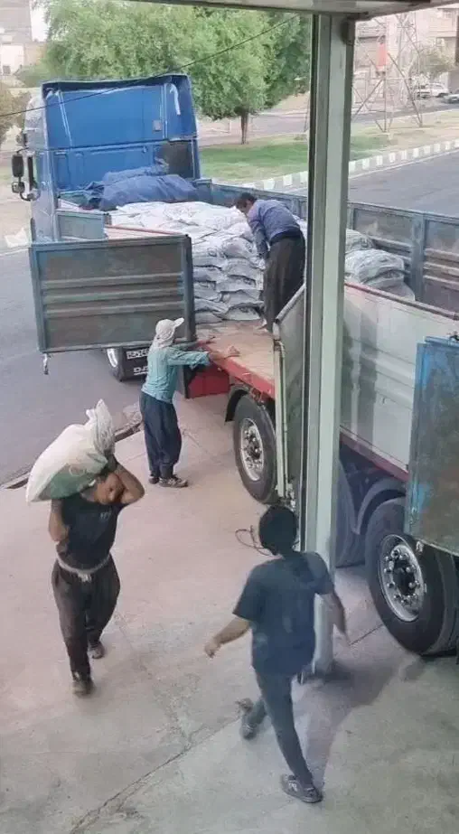 کود سیاه 50 کیلویی قیمت کارخانه|خدمات باغبانی و درختکاری|امیدیه, |دیوار