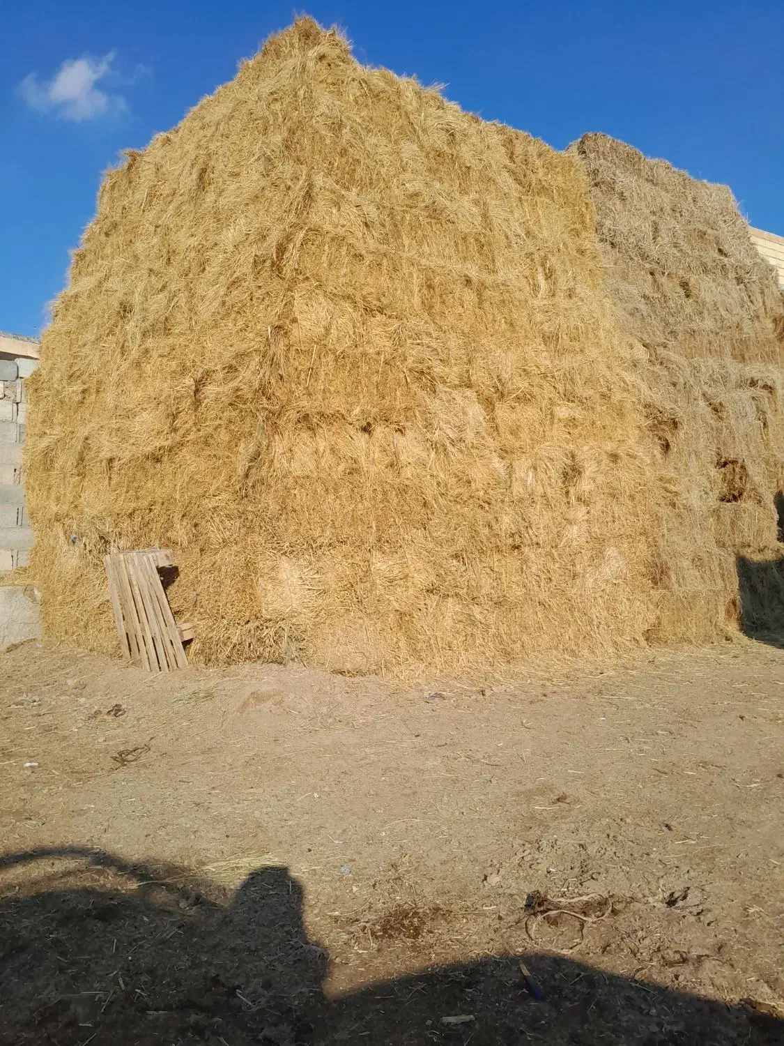 علف|لوازم جانبی حیوانات|سراب, |دیوار