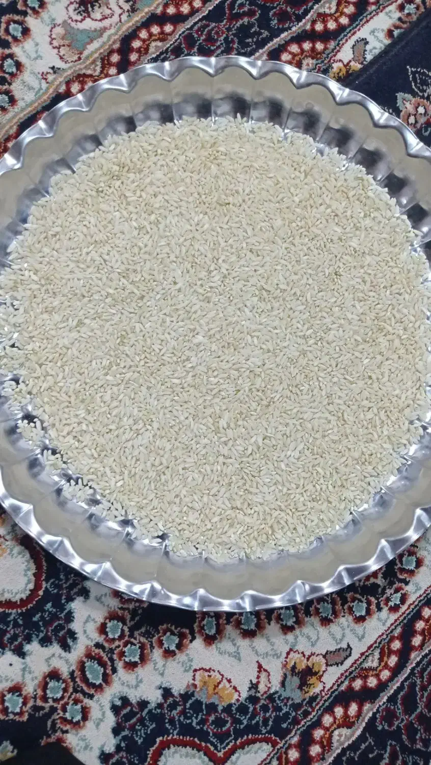 برنج چمپه فلارد|خوردنی و آشامیدنی|فلارد, |دیوار