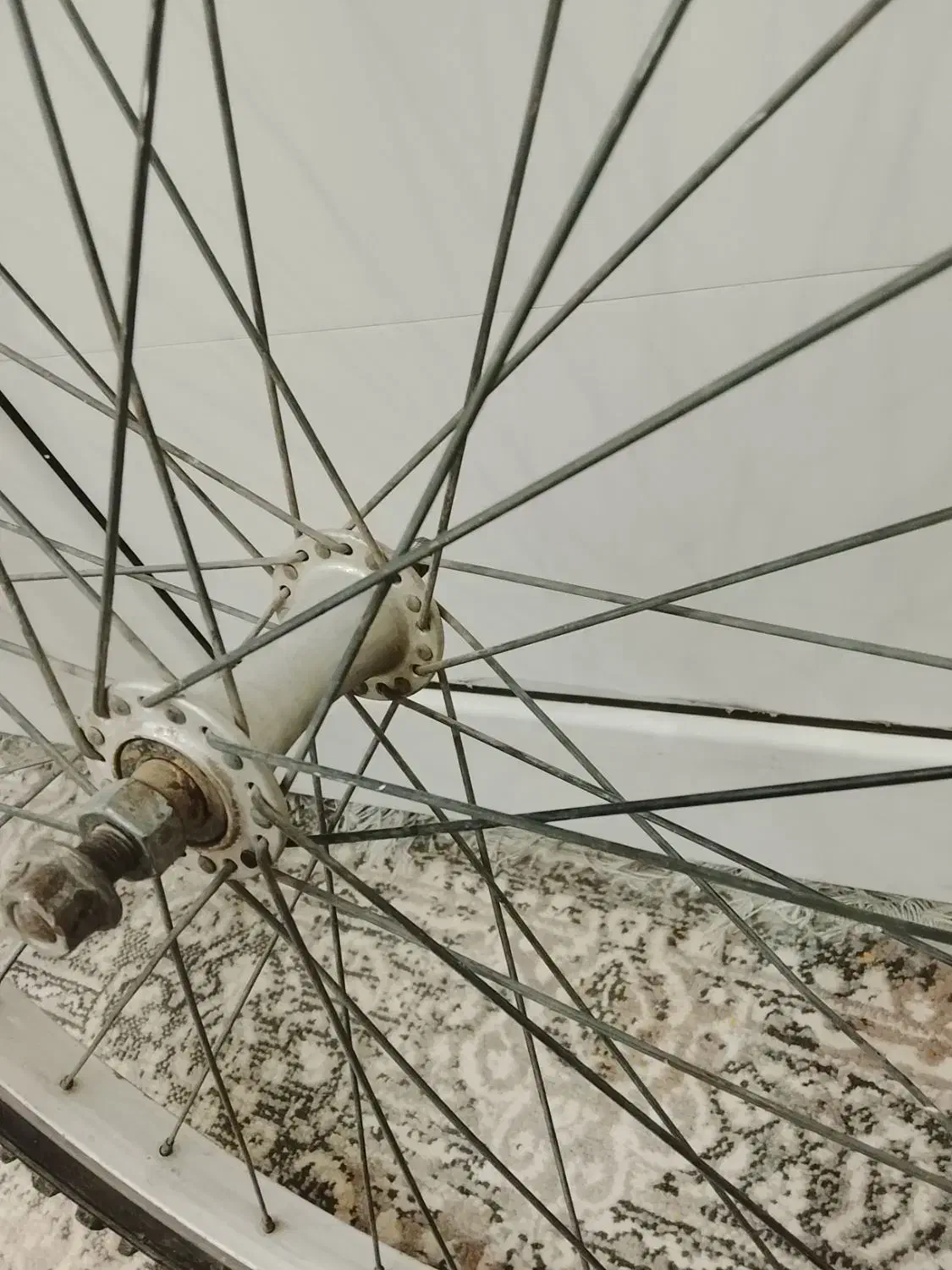 رینگ دوچرخه|دوچرخه، اسکیت، اسکوتر|تربت جام, میان جام|دیوار