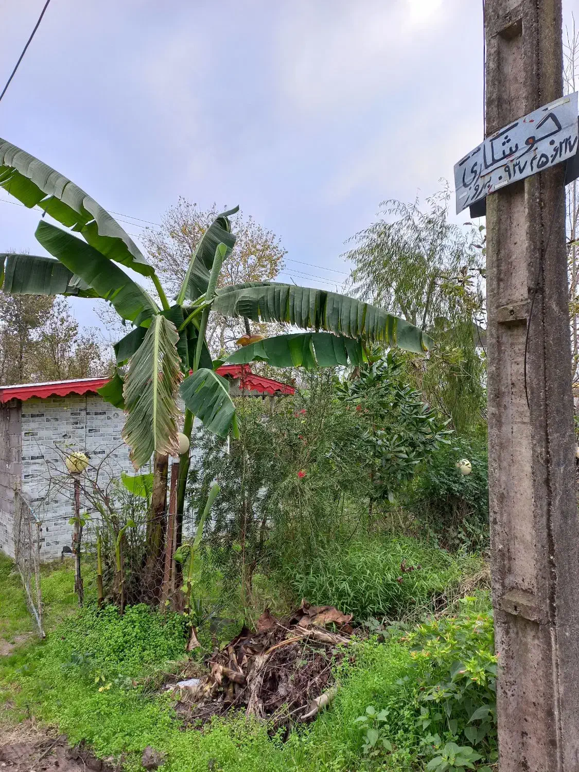 سوئیت باغ بر خیابان مکانی عالی|فروش خانه و ویلا|رشت, کوی فرهنگیان|دیوار